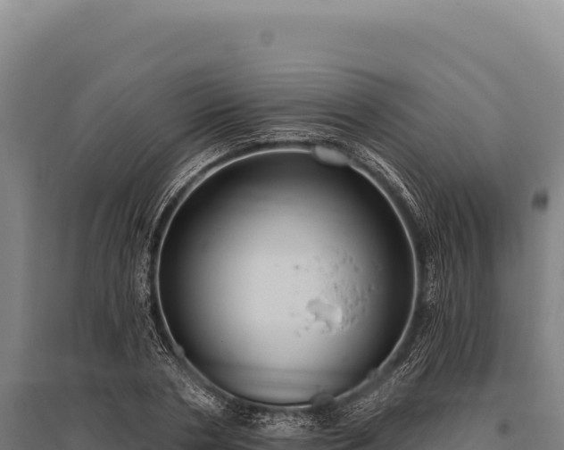 X0000095960786200801181444