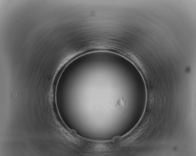 X0000095960787200801181444