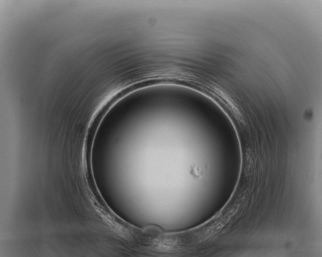 X0000095960788200801181444