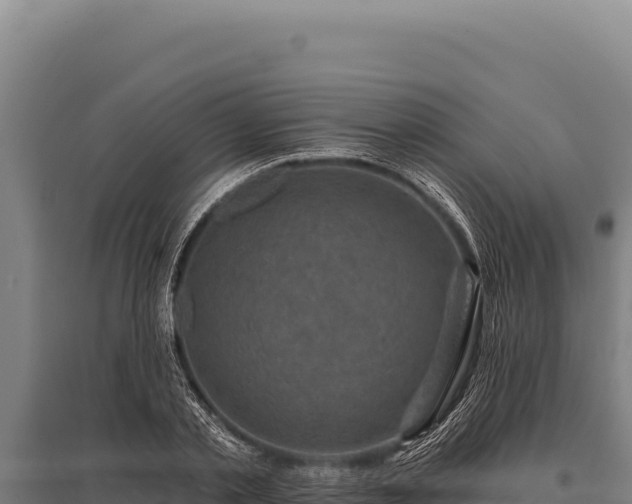 X0000095960789200801181444