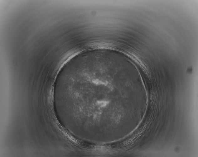 X0000095960790200801181444