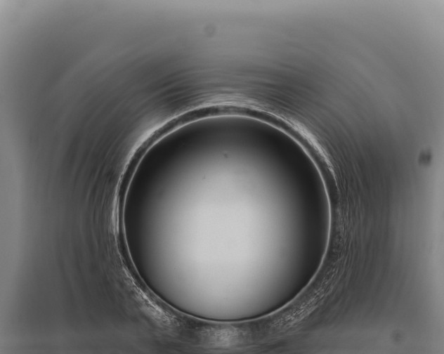 X0000095960791200801181444