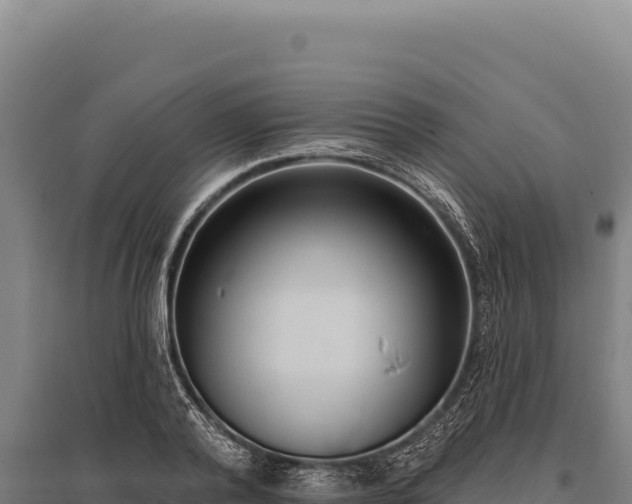 X0000095960792200801181444