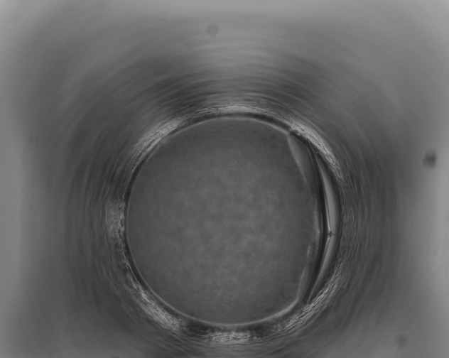 X0000095960793200801181444