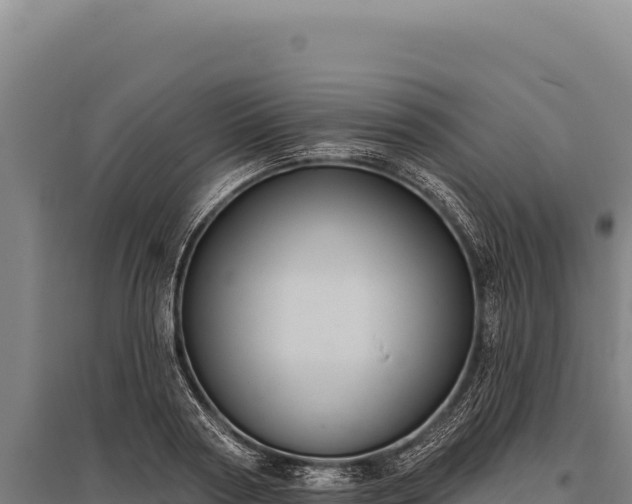 X0000095960794200801181444