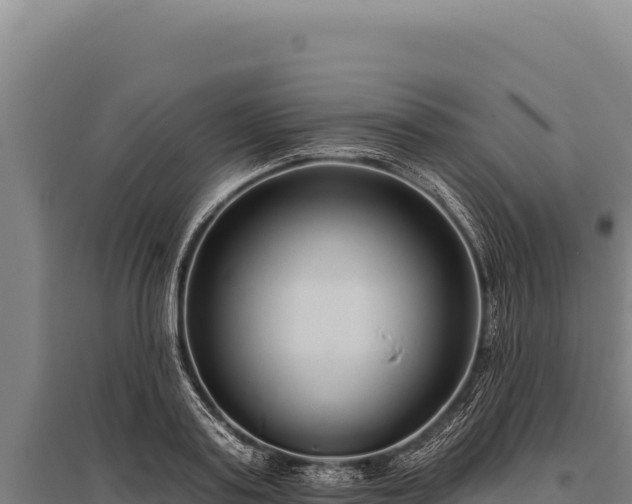 X0000095960795200801181444