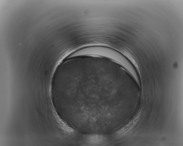 X0000095960797200801181444