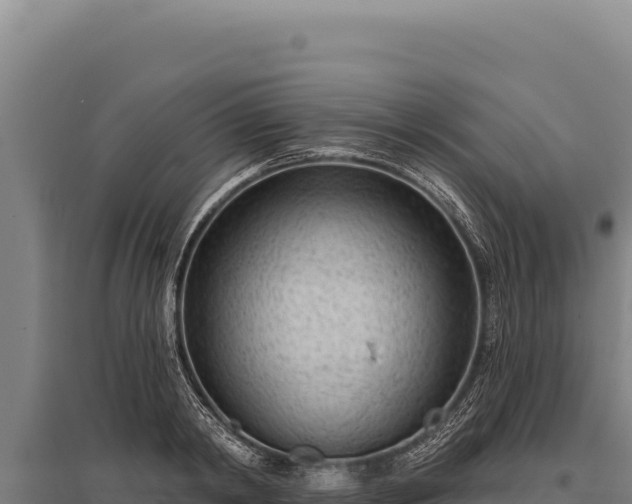 X0000095960798200801181444