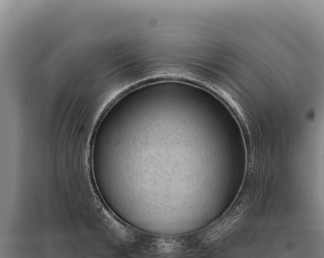 X0000095960799200801181444