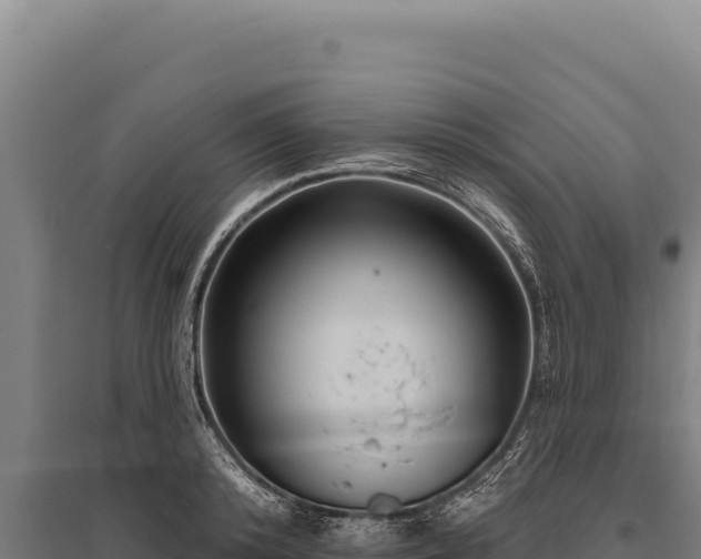 X0000095960800200801181444