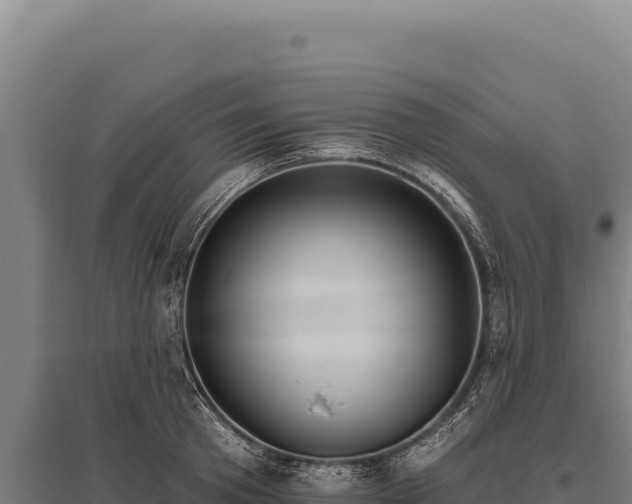 X0000095960801200801181444