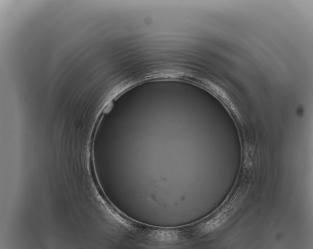 X0000095960802200801181444