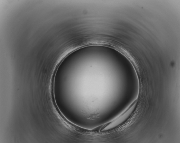 X0000095960803200801181443