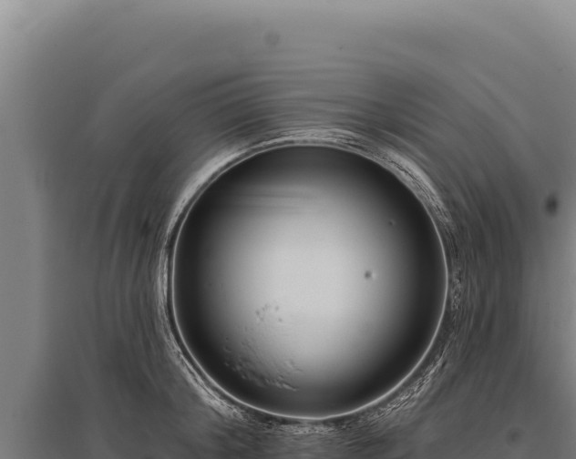 X0000095960804200801181443