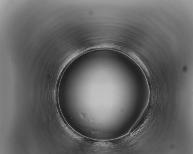 X0000095960805200801181443