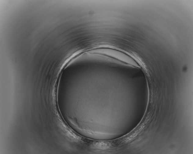 X0000095960806200801181443