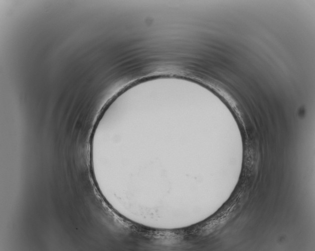 X0000095960807200801181443