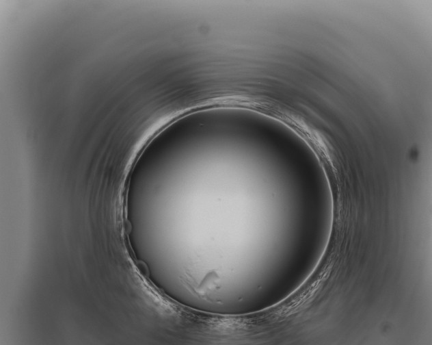 X0000095960808200801181443