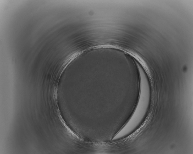 X0000095960809200801181443