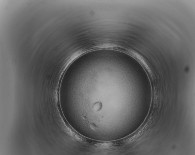 X0000095960810200801181443