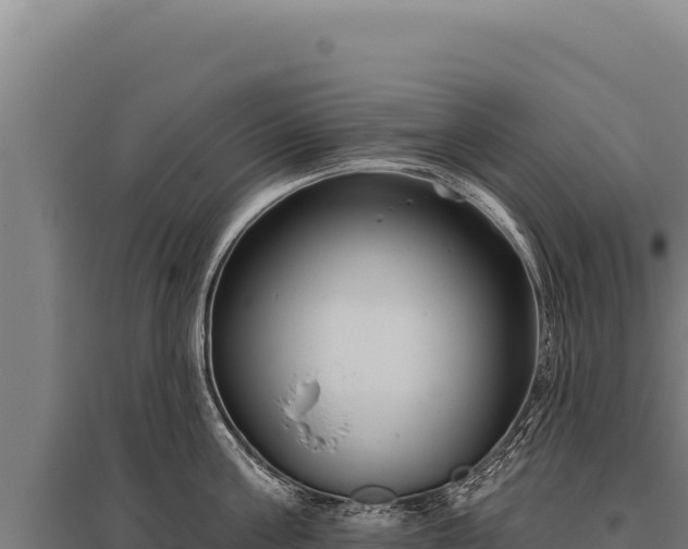 X0000095960811200801181443