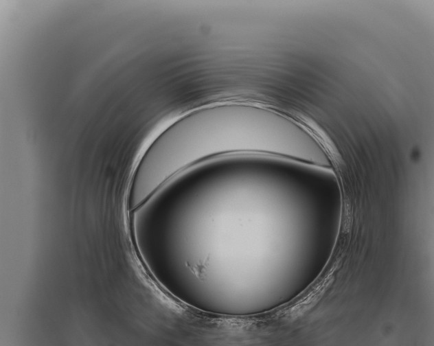 X0000095960812200801181443