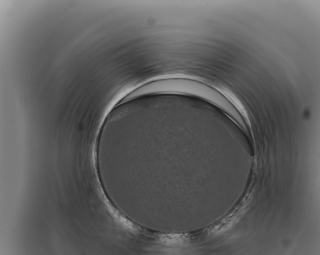 X0000095960813200801181443