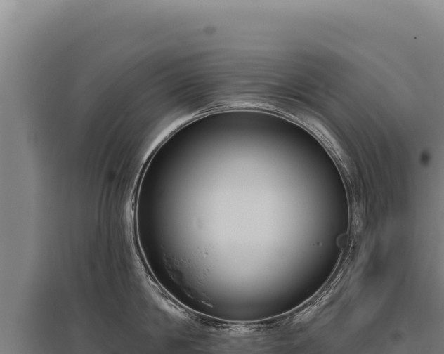 X0000095960814200801181443