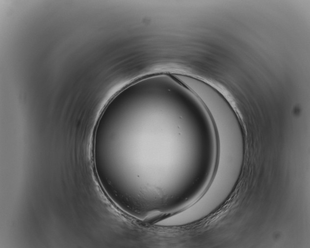 X0000095960815200801181443