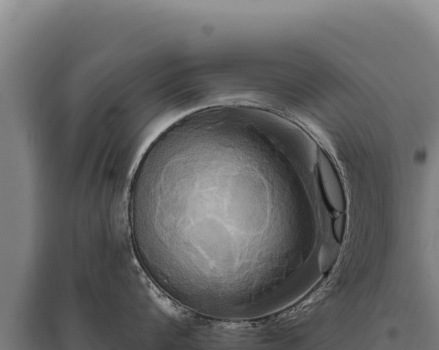 X0000095960816200801181443