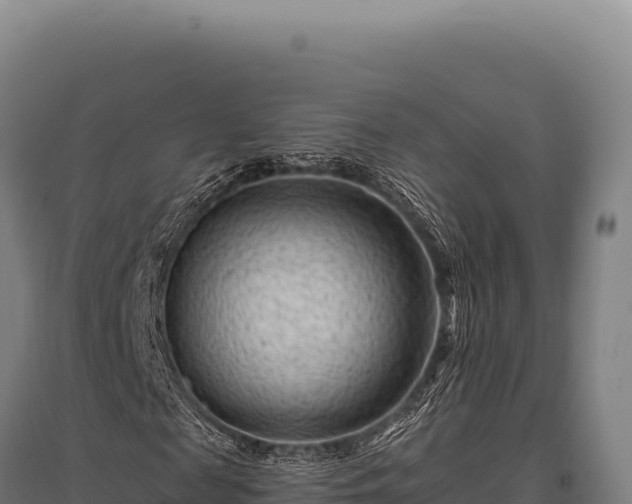 X0000095960817200801181442