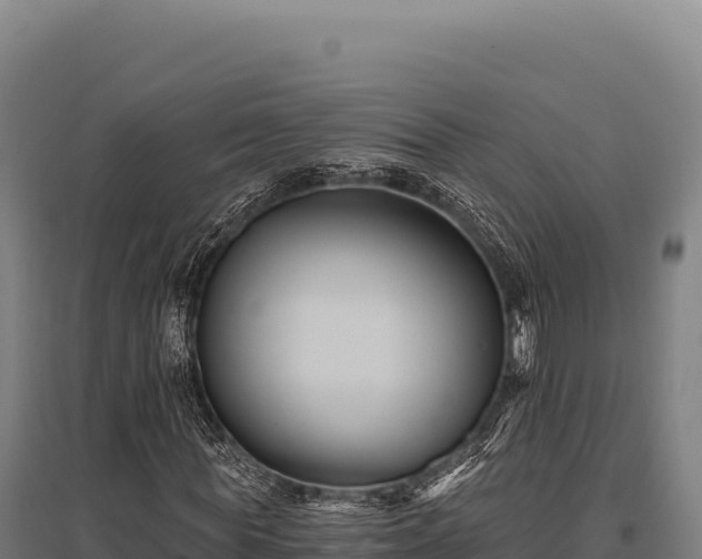 X0000095960819200801181442