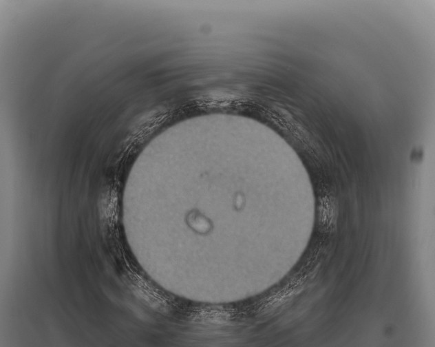 X0000095960820200801181443