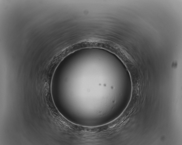 X0000095960821200801181443