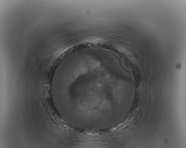 X0000095960822200801181443