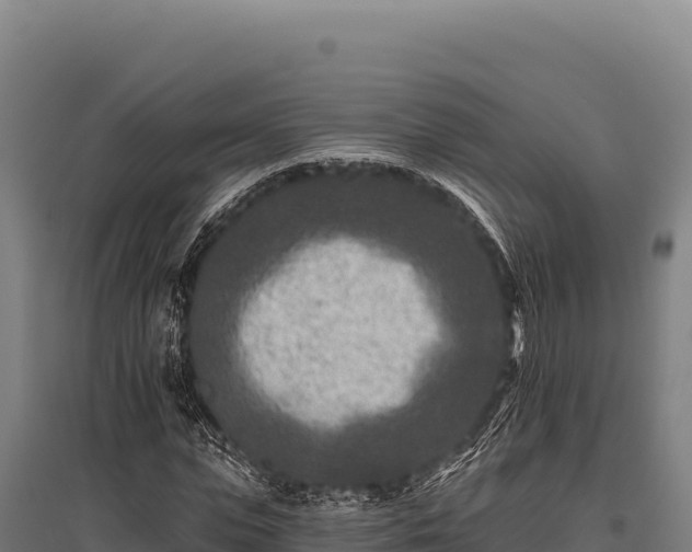 X0000095960823200801181443