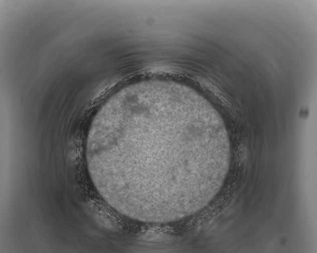 X0000095960824200801181443