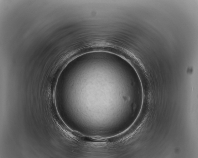 X0000095960825200801181443