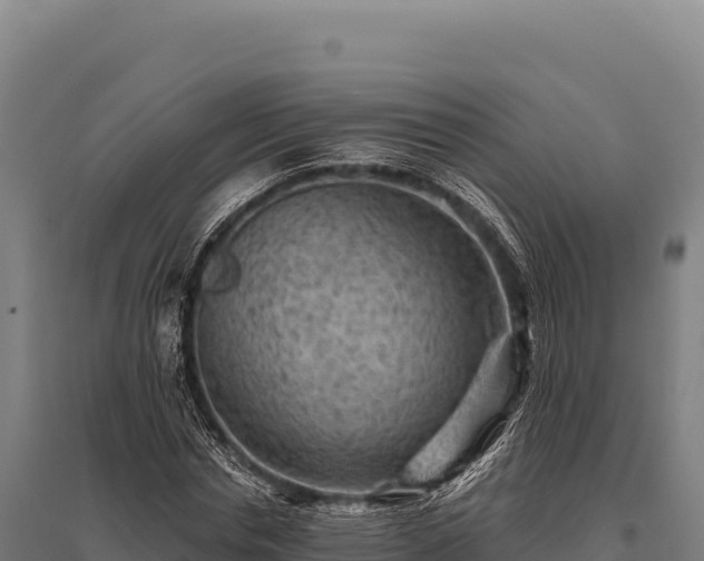 X0000095960826200801181443