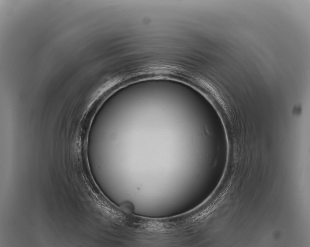 X0000095960827200801181443