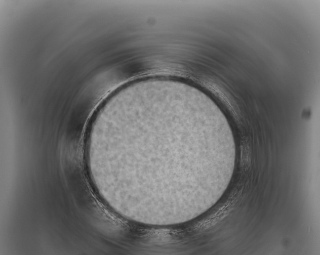 X0000095960828200801181443