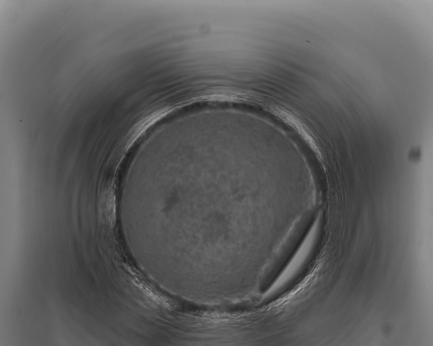 X0000095960829200801181443