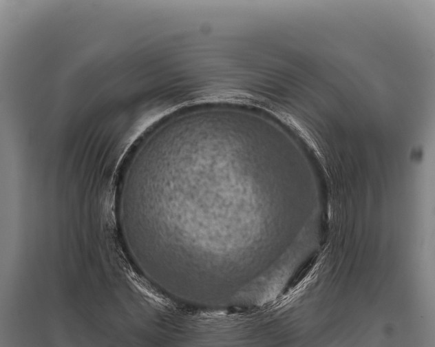 X0000095960830200801181443