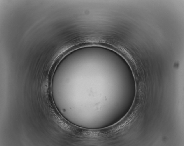 X0000095960831200801181443