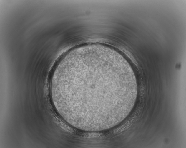 X0000095960832200801181443