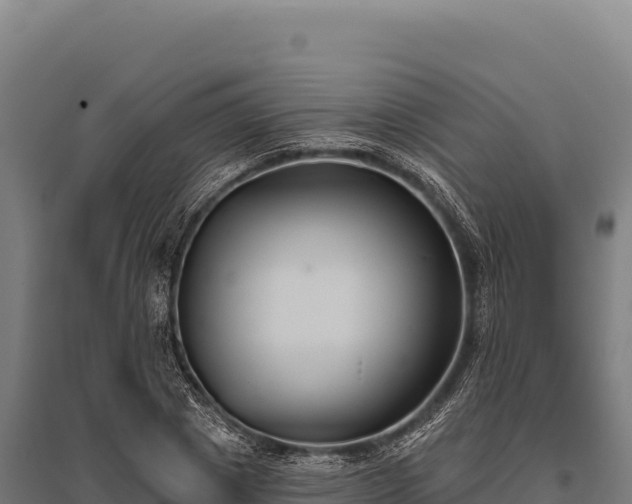 X0000095960833200801181443