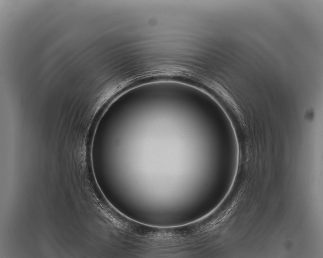 X0000095960834200801181443