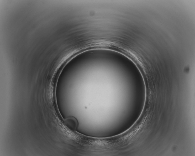 X0000095960835200801181443