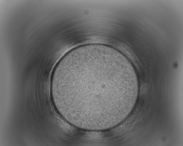 X0000095960836200801181443