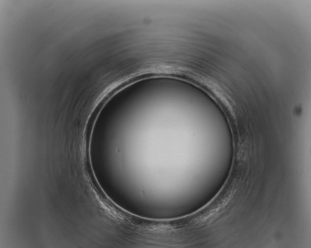 X0000095960837200801181443